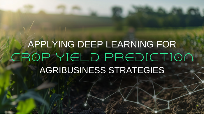 Applying Deep Learning for Crop Yield Prediction: Strategies for Agribusinesses
